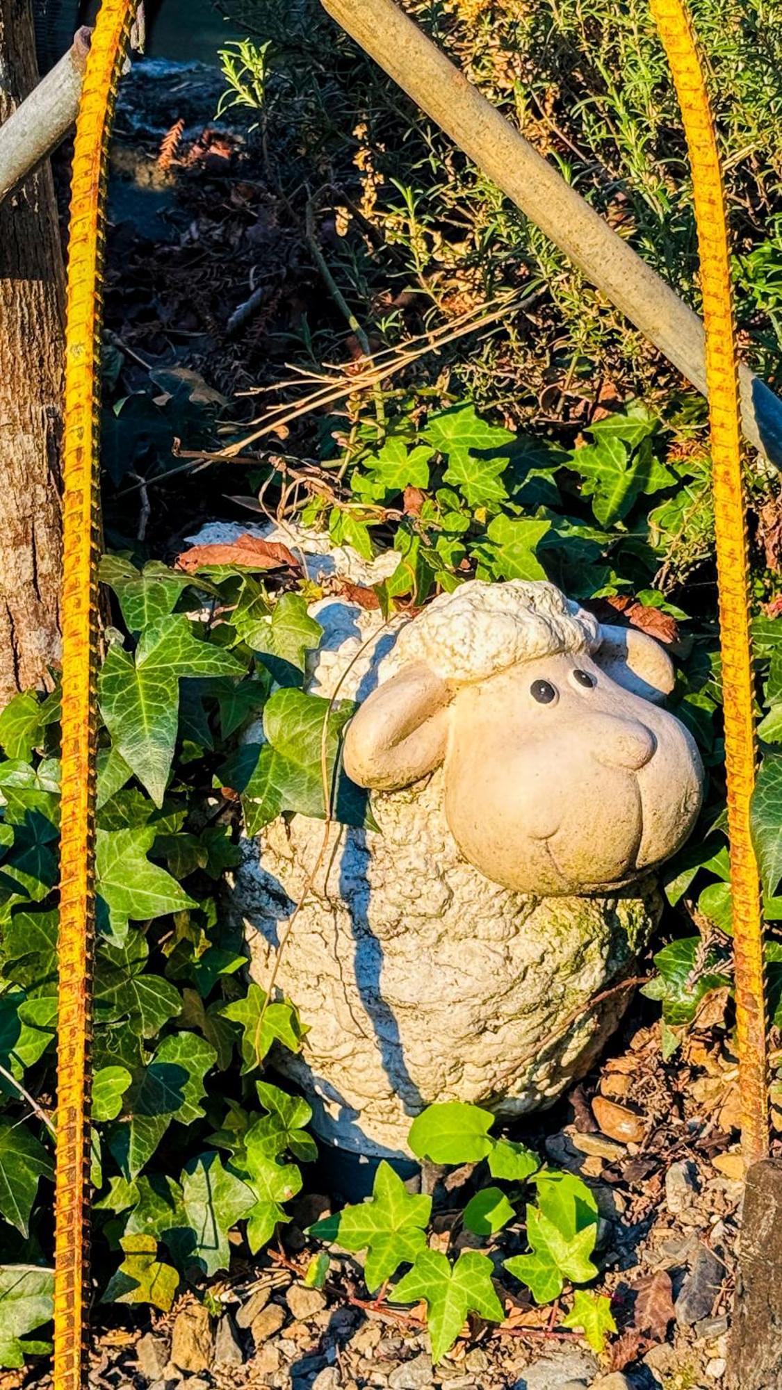 31 Homestay Renai Dış mekan fotoğraf
